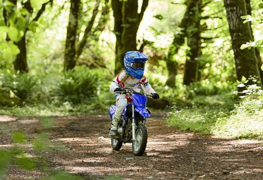2027 Yamaha TT-R 50E