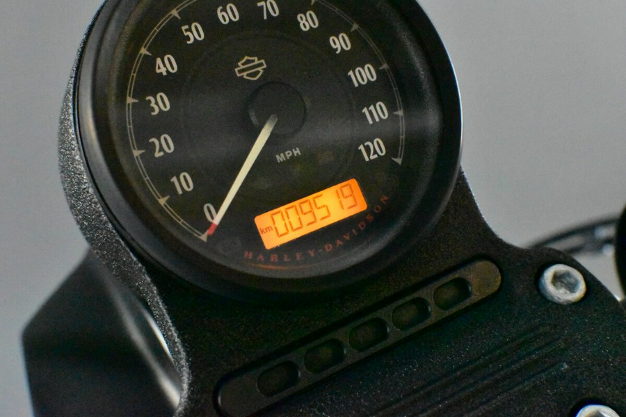 2021 Harley-Davidson Iron 883