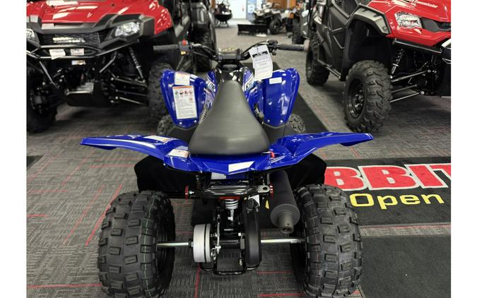 2026 Yamaha Raptor 110