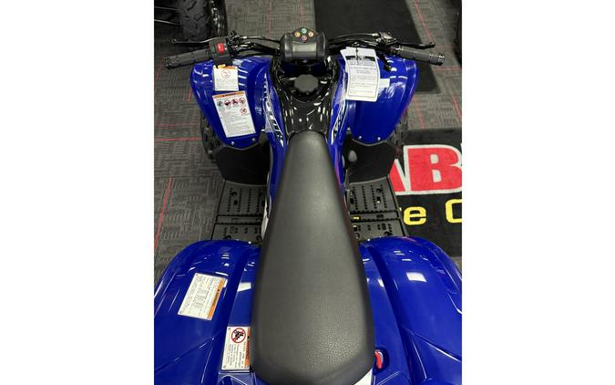 2026 Yamaha Raptor 110