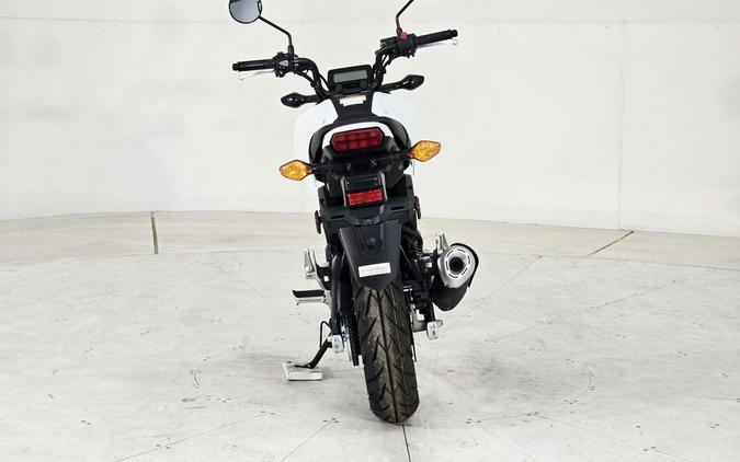 2025 Honda® Grom
