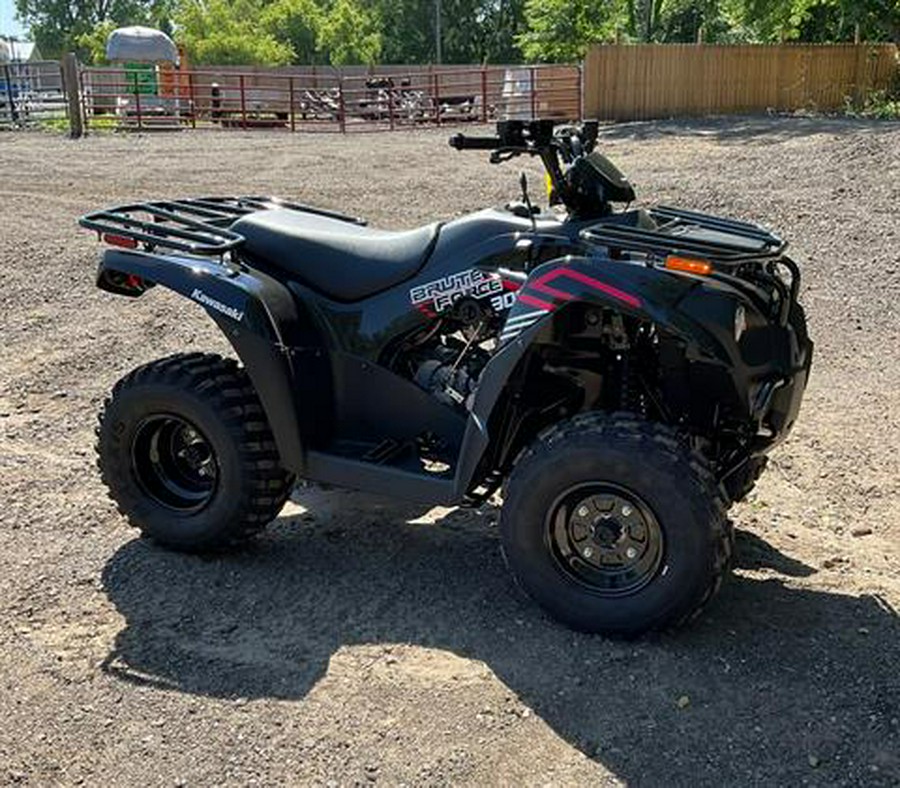 2023 Kawasaki Brute Force 300