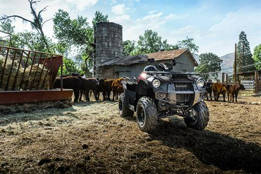 2023 Kawasaki Brute Force 300