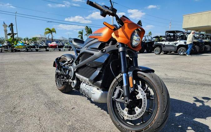 2020 Harley-Davidson® ELW - LiveWire™