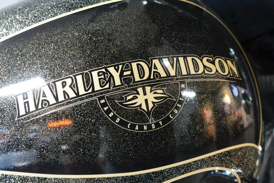 2016 Harley-Davidson Street Glide FLHXS