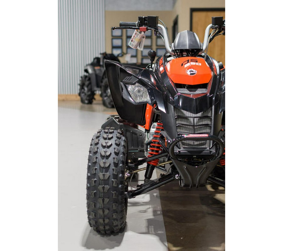 2024 Can-Am® DS 250