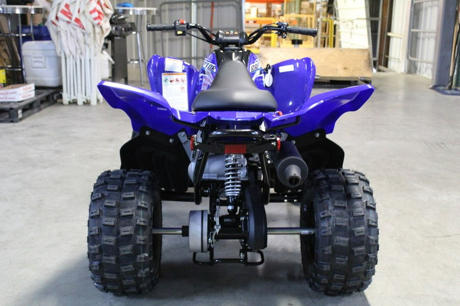 2026 Yamaha Raptor 110