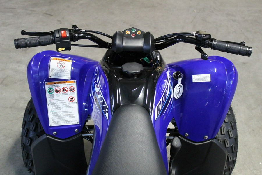 2026 Yamaha Raptor 110