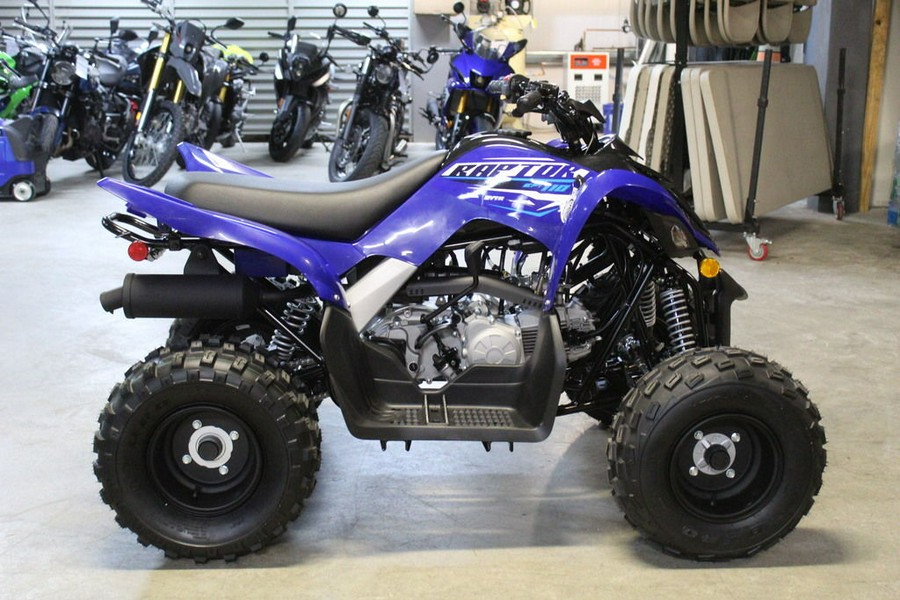 2026 Yamaha Raptor 110