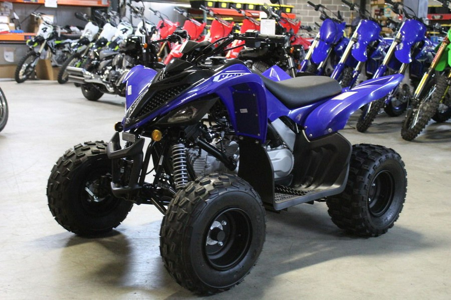 2026 Yamaha Raptor 110