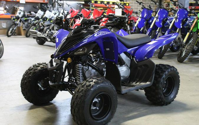 2026 Yamaha Raptor 110