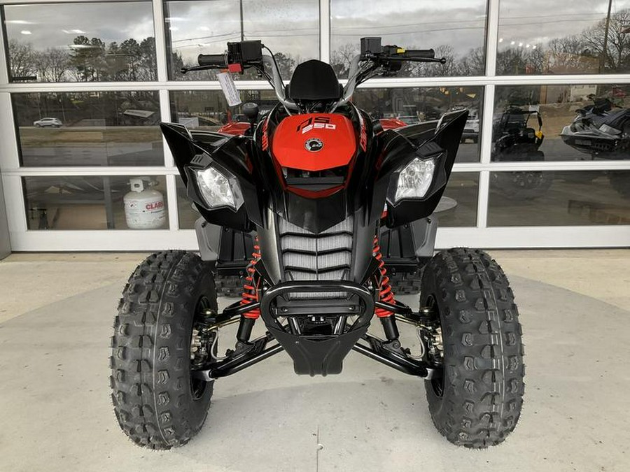 2024 Can-Am® DS 250