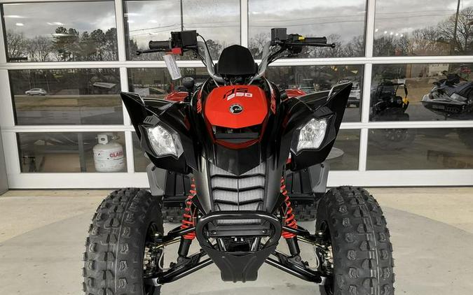 2024 Can-Am® DS 250