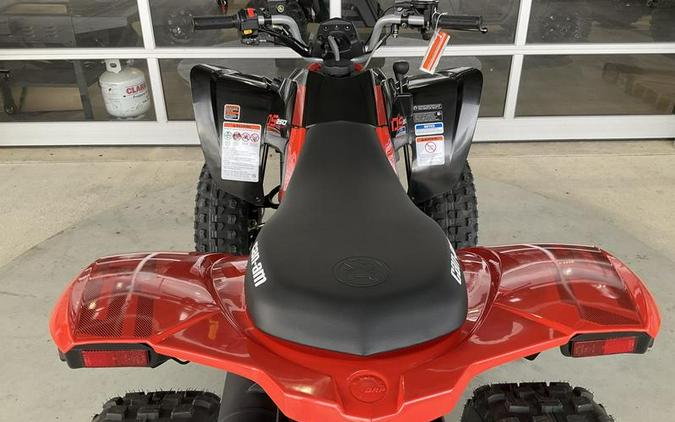 2024 Can-Am® DS 250