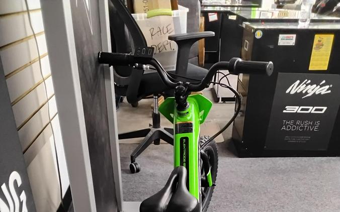 2023 Kawasaki ELEKTRODE