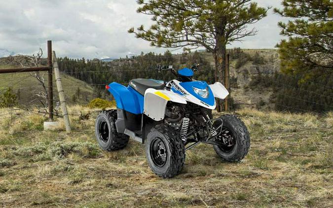 2016 Polaris Phoenix 200