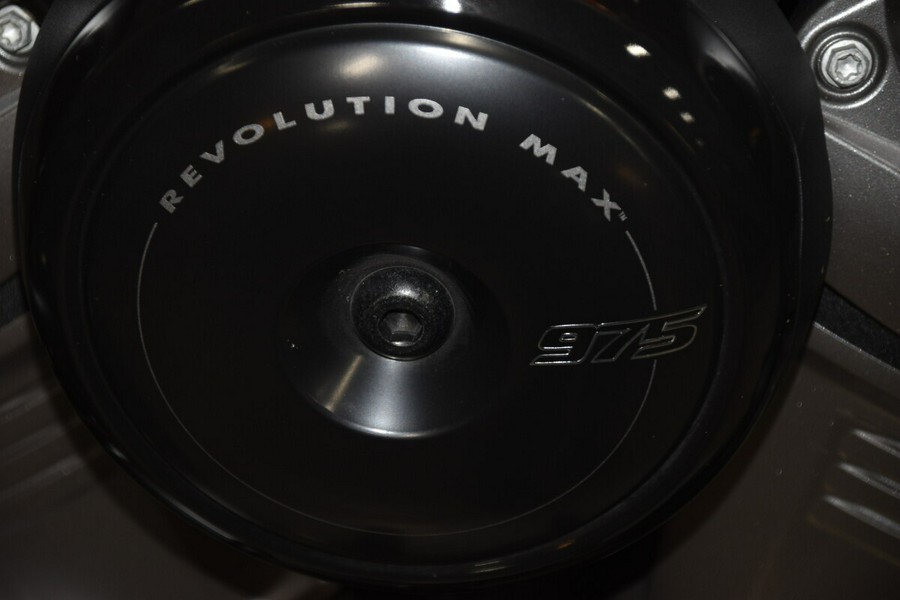 2024 Harley-Davidson Nightster Special RH975S