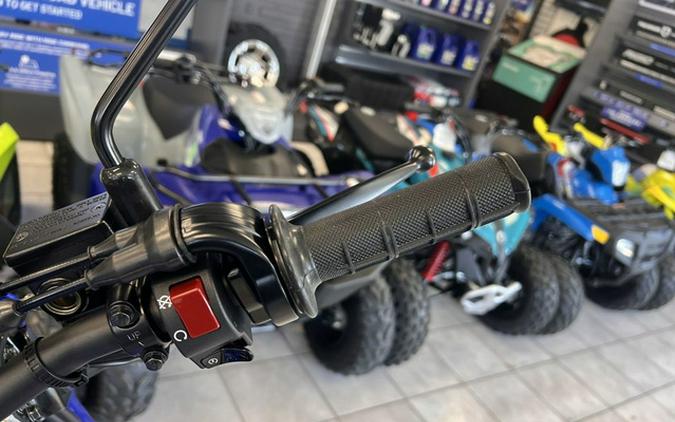 2026 Yamaha WR 125R
