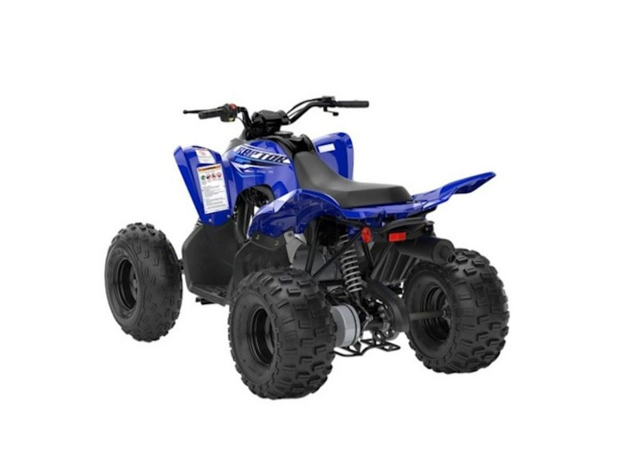 2026 Yamaha Raptor 110