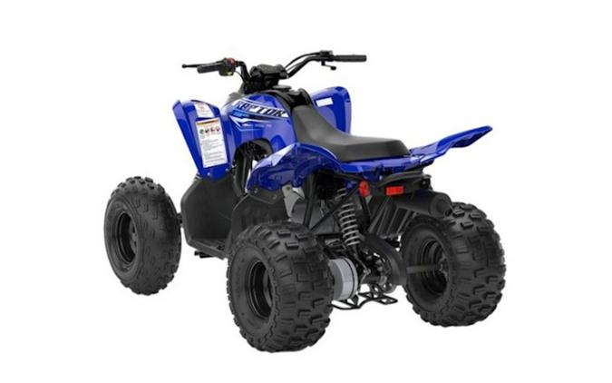 2026 Yamaha Raptor 110