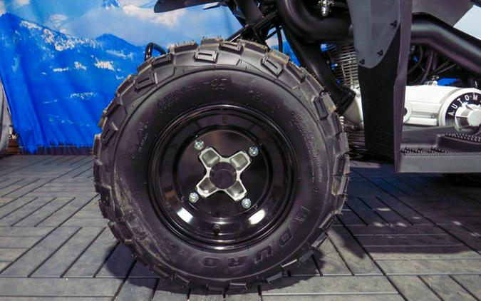 2027 Polaris Phoenix 200
