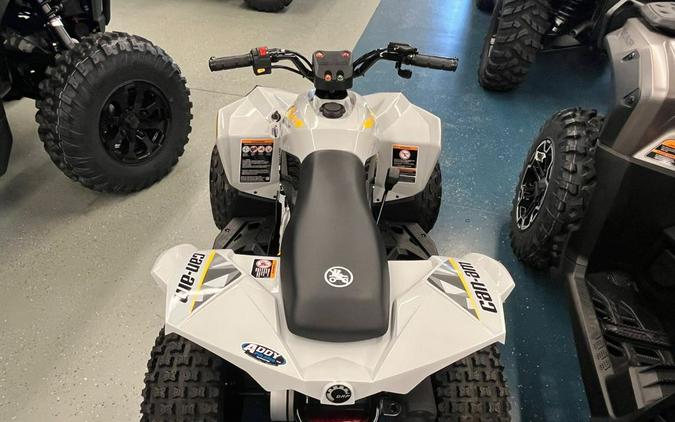 2026 Can-Am Renegade 70 EFI Catalyst Gray