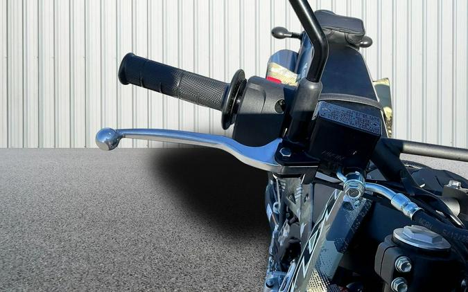 2026 Kawasaki KLX 300