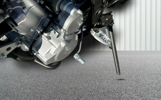 2026 Kawasaki KLX 300