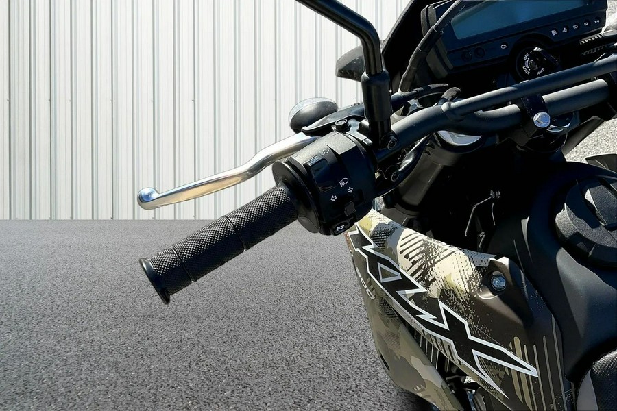 2026 Kawasaki KLX 300