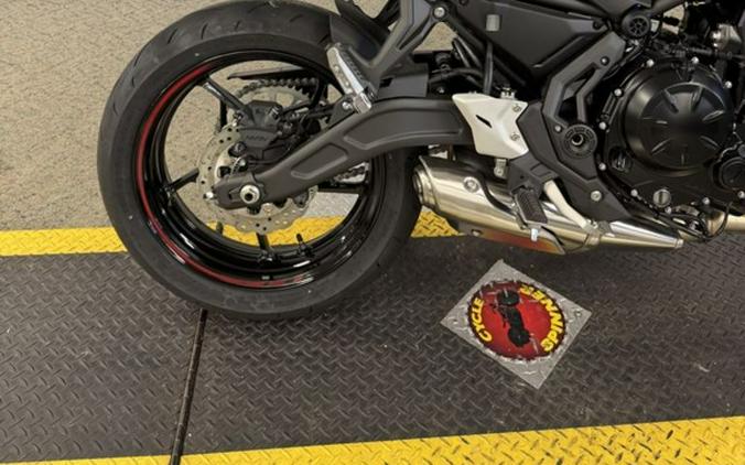 2025 Kawasaki Z650