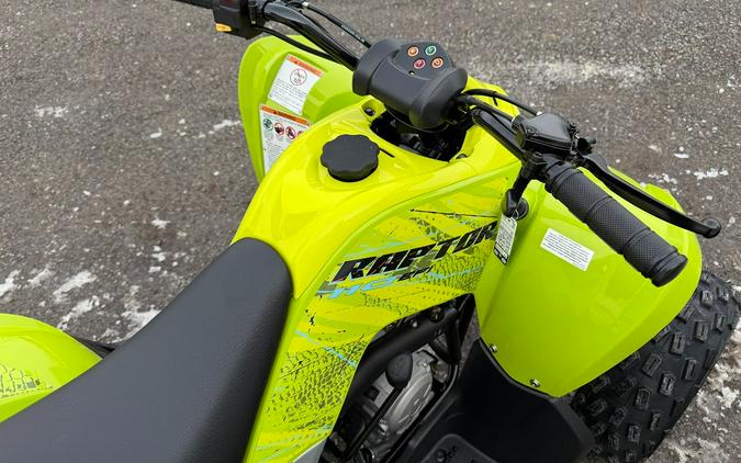 2026 Yamaha Raptor 110