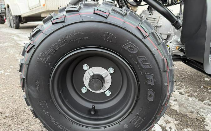 2026 Yamaha Raptor 110