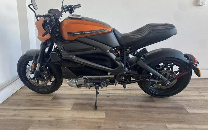 2020 Harley-Davidson LiveWire Review: 23 Fast Facts