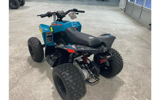 2024 Can-Am Renegade 110 EFI