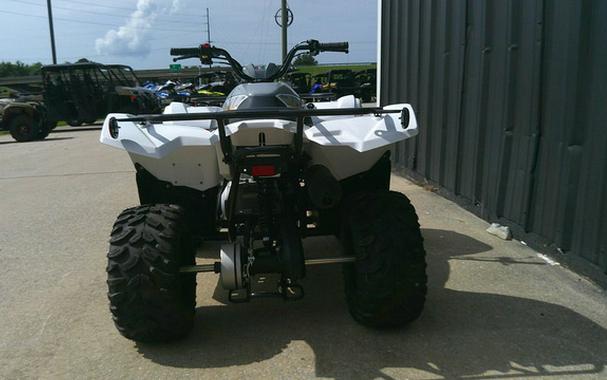 2024 Yamaha Grizzly 90