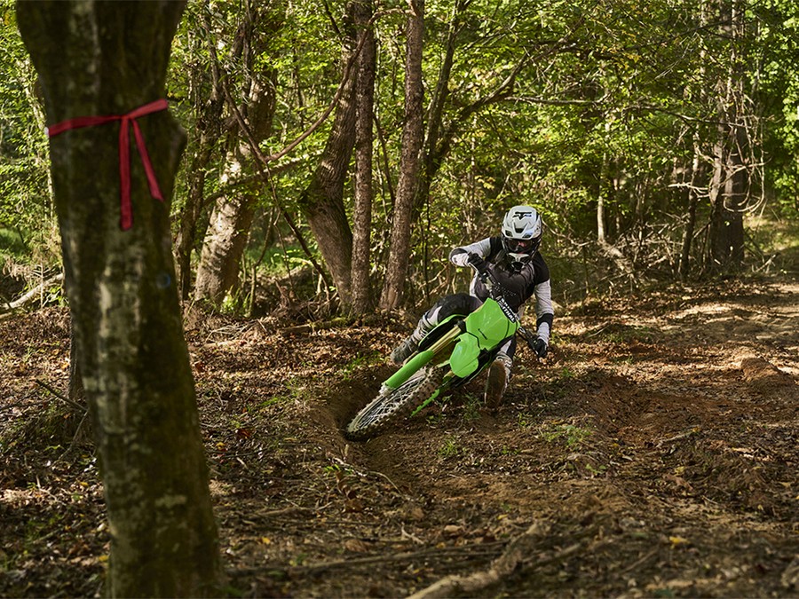 2026 Kawasaki KX 450X