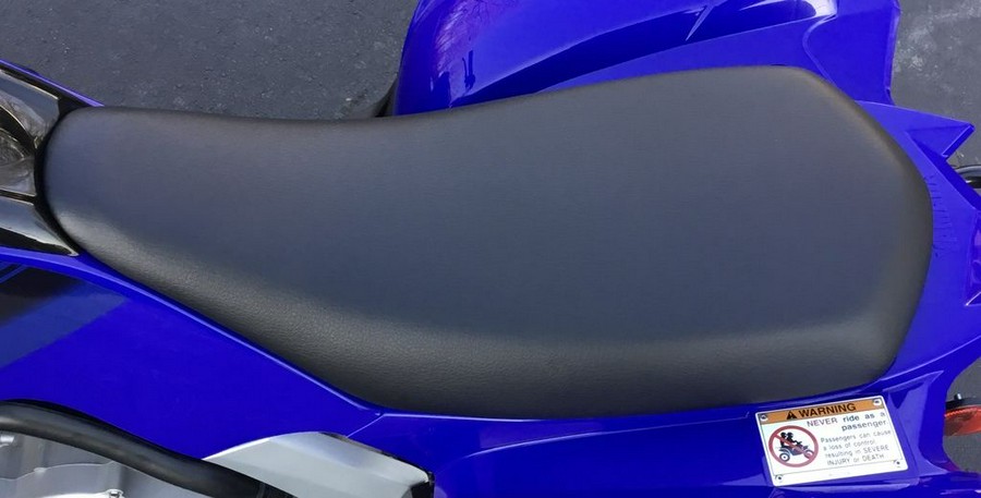 2024 Yamaha Raptor 110