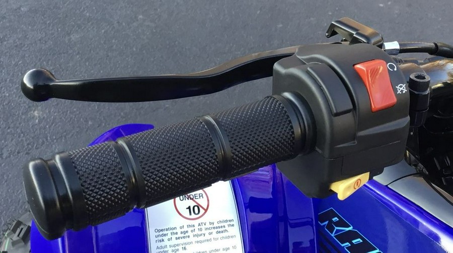 2024 Yamaha Raptor 110