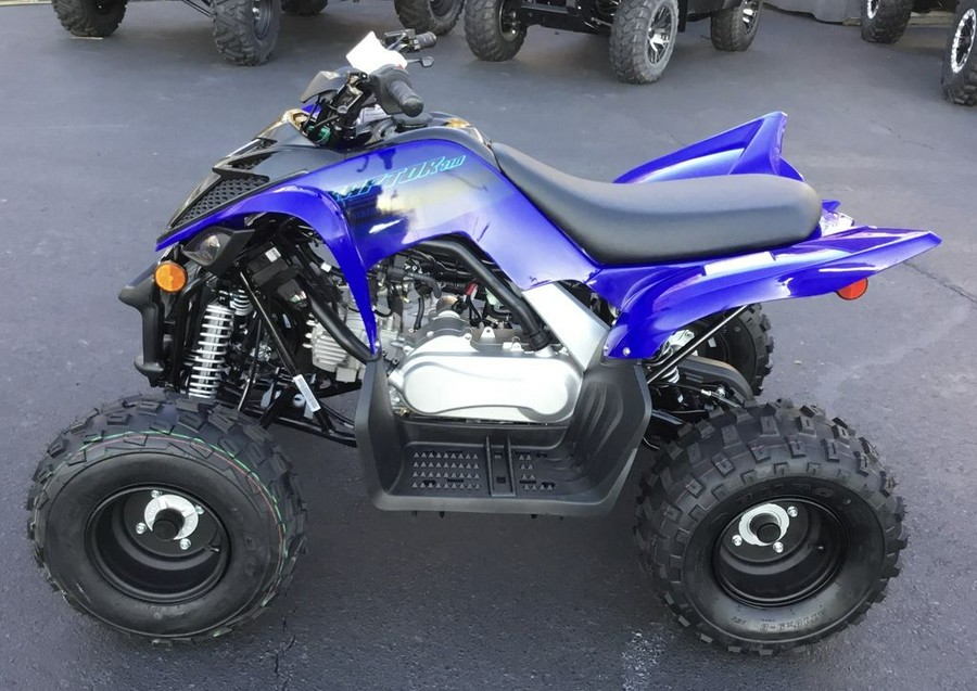 2024 Yamaha Raptor 110