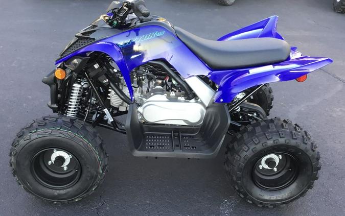 2024 Yamaha Raptor 110