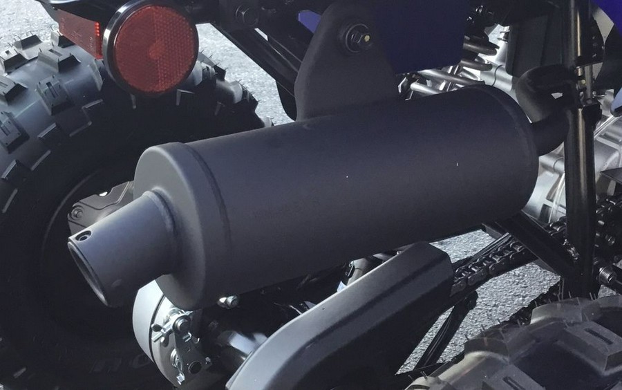 2024 Yamaha Raptor 110