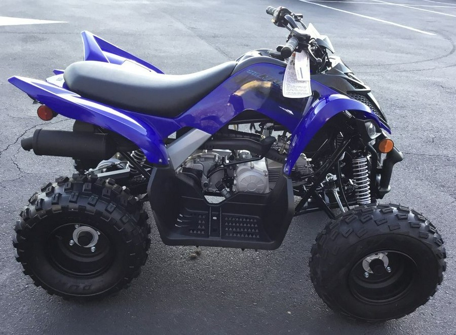 2024 Yamaha Raptor 110