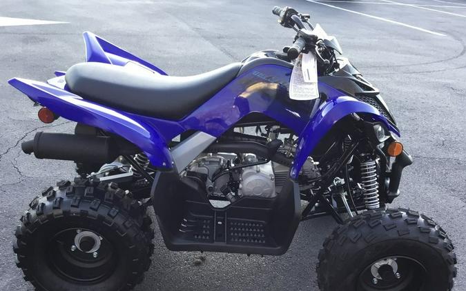 2024 Yamaha Raptor 110