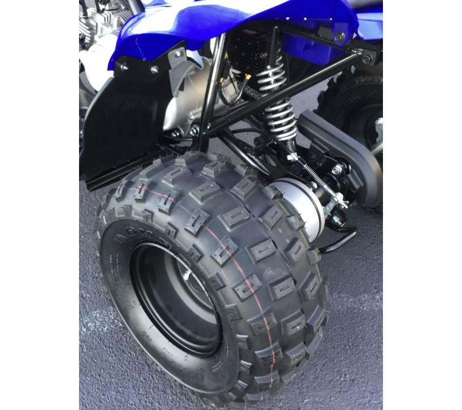 2024 Yamaha Raptor 110