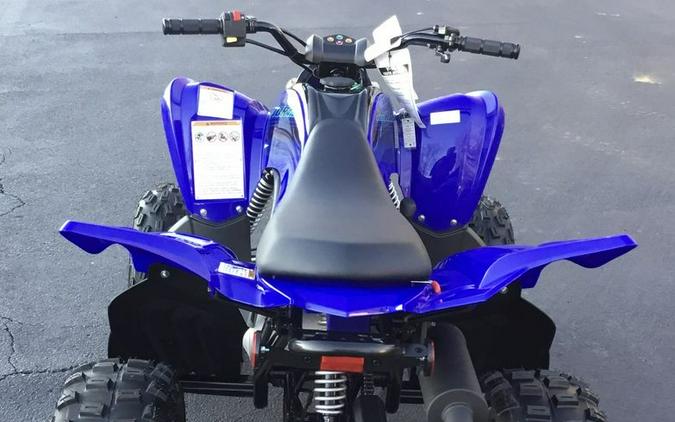 2024 Yamaha Raptor 110