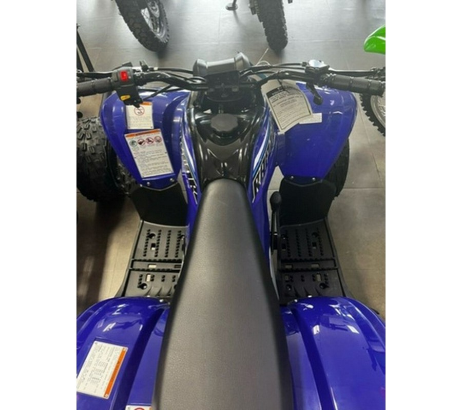 2023 Yamaha Raptor 90