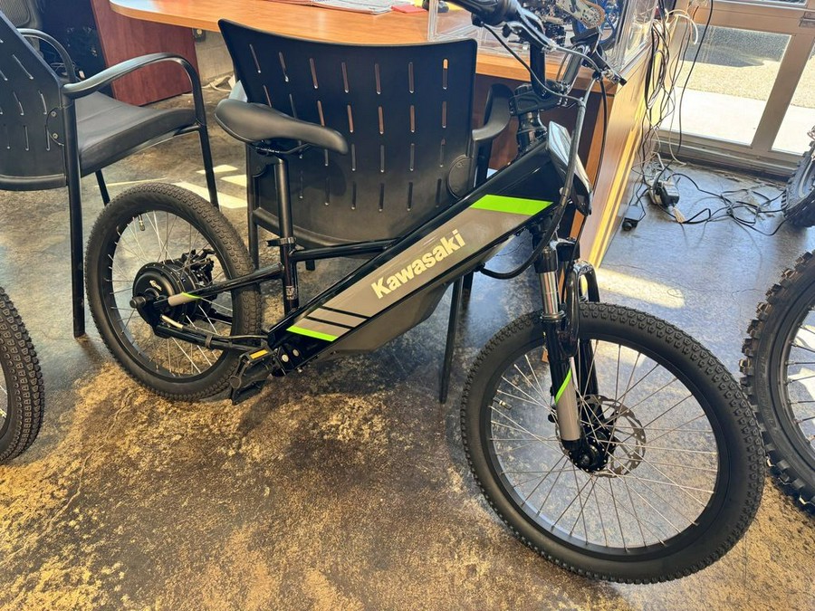 2025 Kawasaki Elektrode® 20