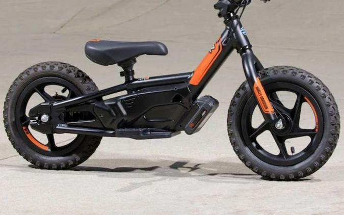 2022 Harley-Davidson® IRONe12