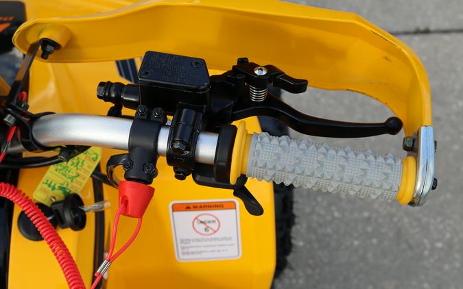 2026 Denago Powersports E-Hawk 6