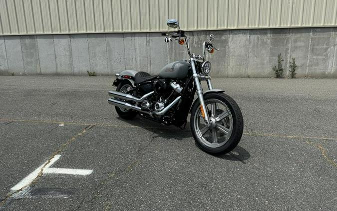 2024 Harley-Davidson® FXST - Softail® Standard